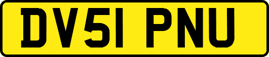 DV51PNU