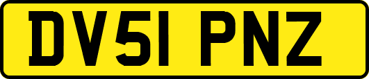 DV51PNZ