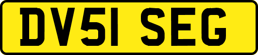 DV51SEG
