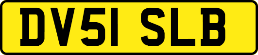 DV51SLB