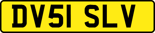 DV51SLV