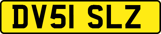 DV51SLZ