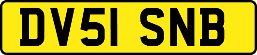 DV51SNB