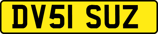 DV51SUZ
