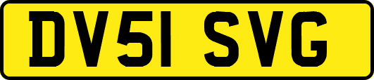 DV51SVG