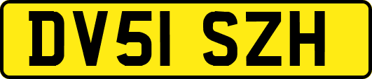 DV51SZH