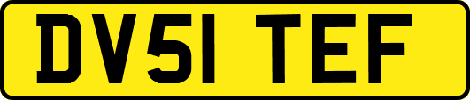 DV51TEF