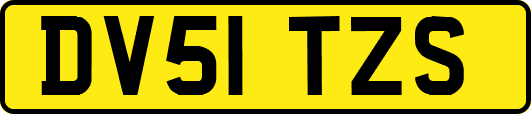 DV51TZS
