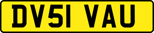 DV51VAU