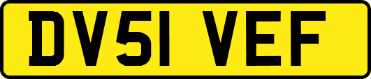 DV51VEF