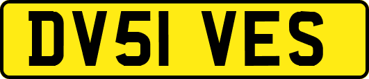 DV51VES