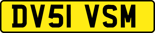 DV51VSM