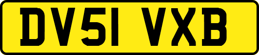 DV51VXB