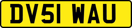 DV51WAU