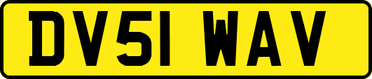 DV51WAV
