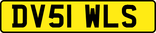 DV51WLS