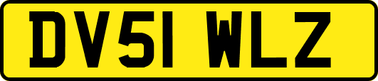 DV51WLZ