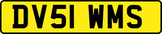 DV51WMS