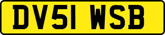 DV51WSB