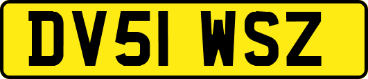 DV51WSZ