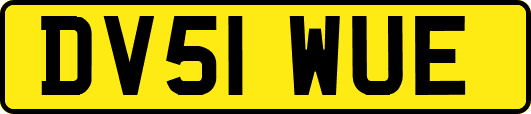 DV51WUE
