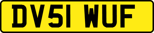 DV51WUF