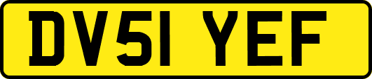 DV51YEF