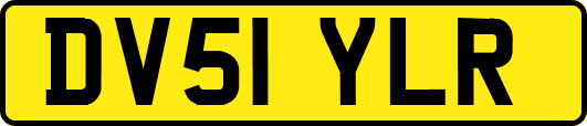 DV51YLR