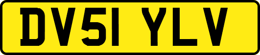 DV51YLV