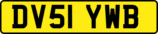 DV51YWB