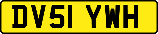 DV51YWH
