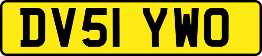 DV51YWO
