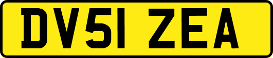 DV51ZEA