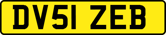 DV51ZEB