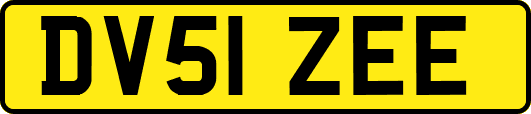 DV51ZEE