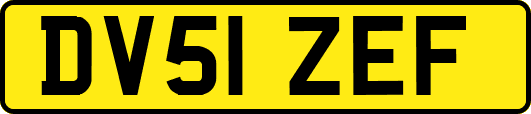 DV51ZEF