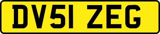 DV51ZEG