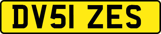 DV51ZES