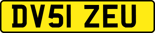 DV51ZEU