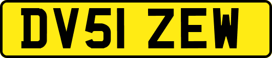 DV51ZEW