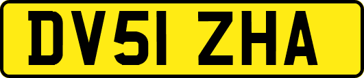 DV51ZHA