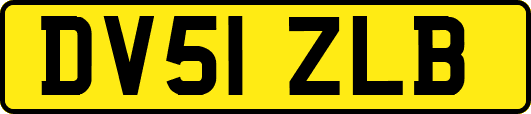DV51ZLB