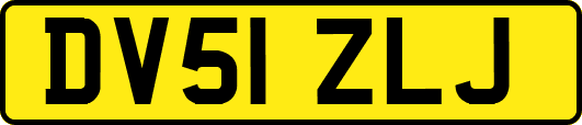 DV51ZLJ