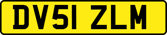 DV51ZLM