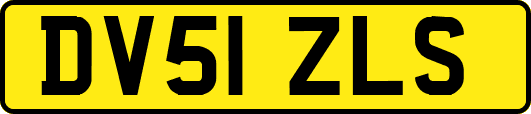 DV51ZLS
