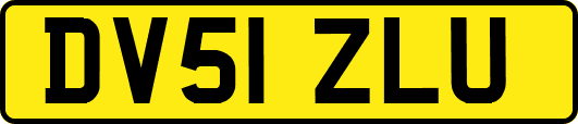 DV51ZLU