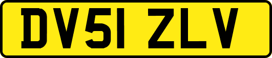 DV51ZLV