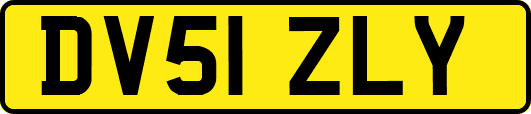 DV51ZLY