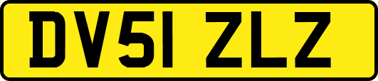 DV51ZLZ
