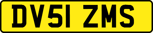 DV51ZMS